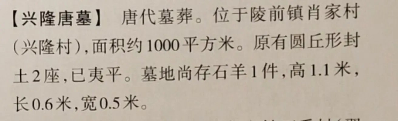 唐墓。