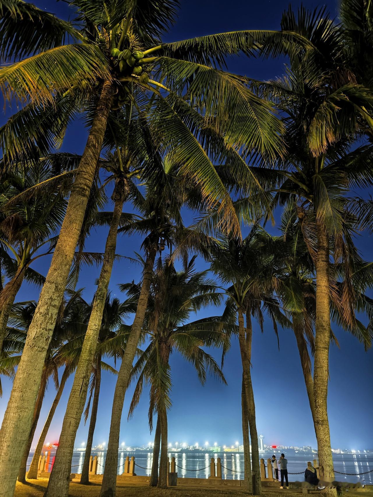 湛江滨海公园观景长廊。散步，吹风，十分惬意。