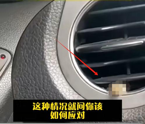 车子开着开着，突然窜出了一条辣条（蛇）！这种情况，就问你该如何应对？

夏季到了