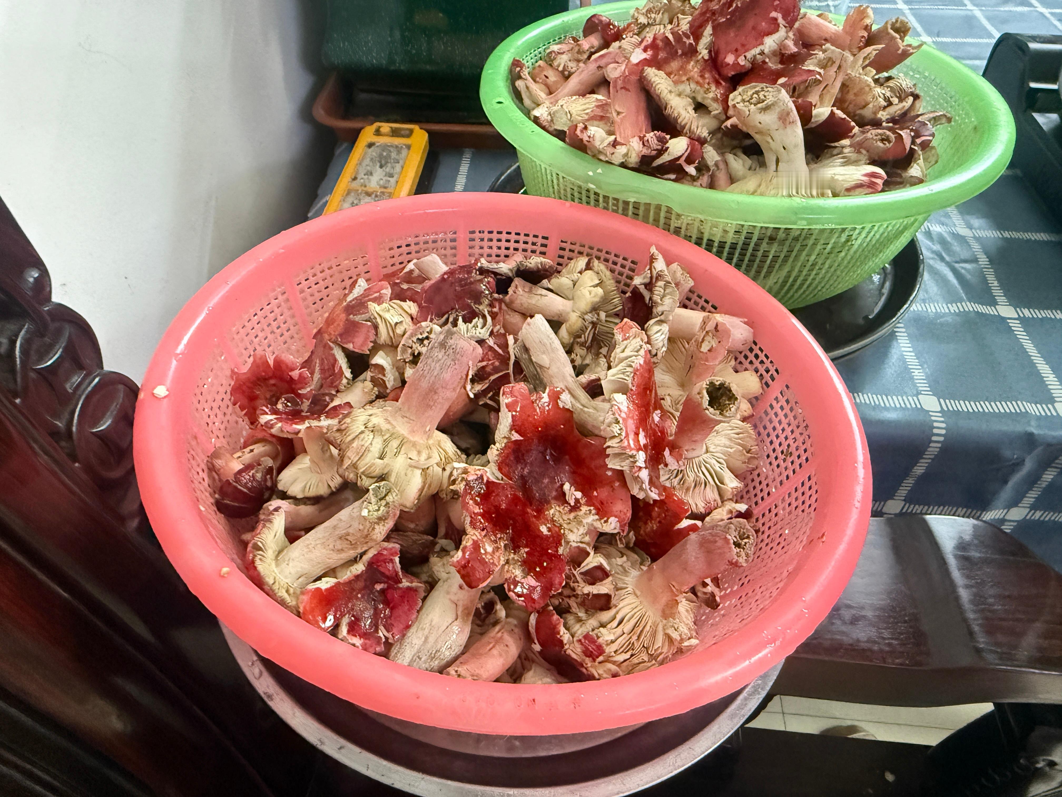 红伞伞，白杆杆 梧州