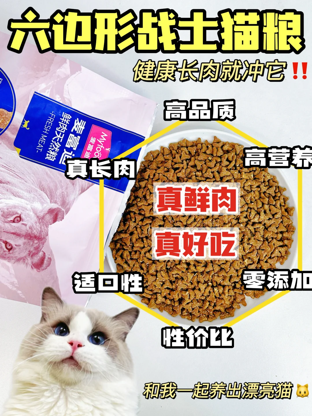 入手真鲜肉猫粮是真的香！好吃营养不踩坑！