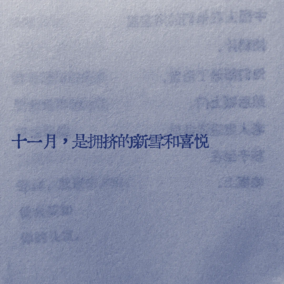 关于十一月，喜欢的一句