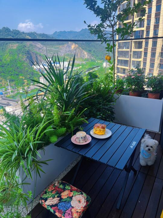我的阳台，很治愈！⛰️