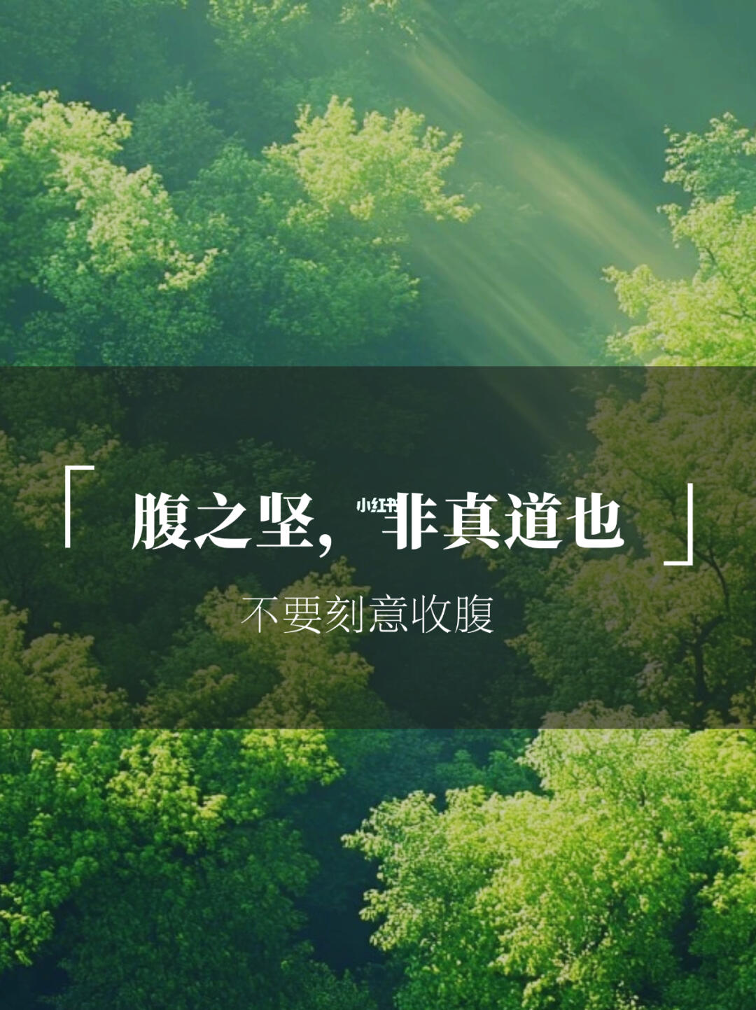 说说腹部应该是怎样的状态