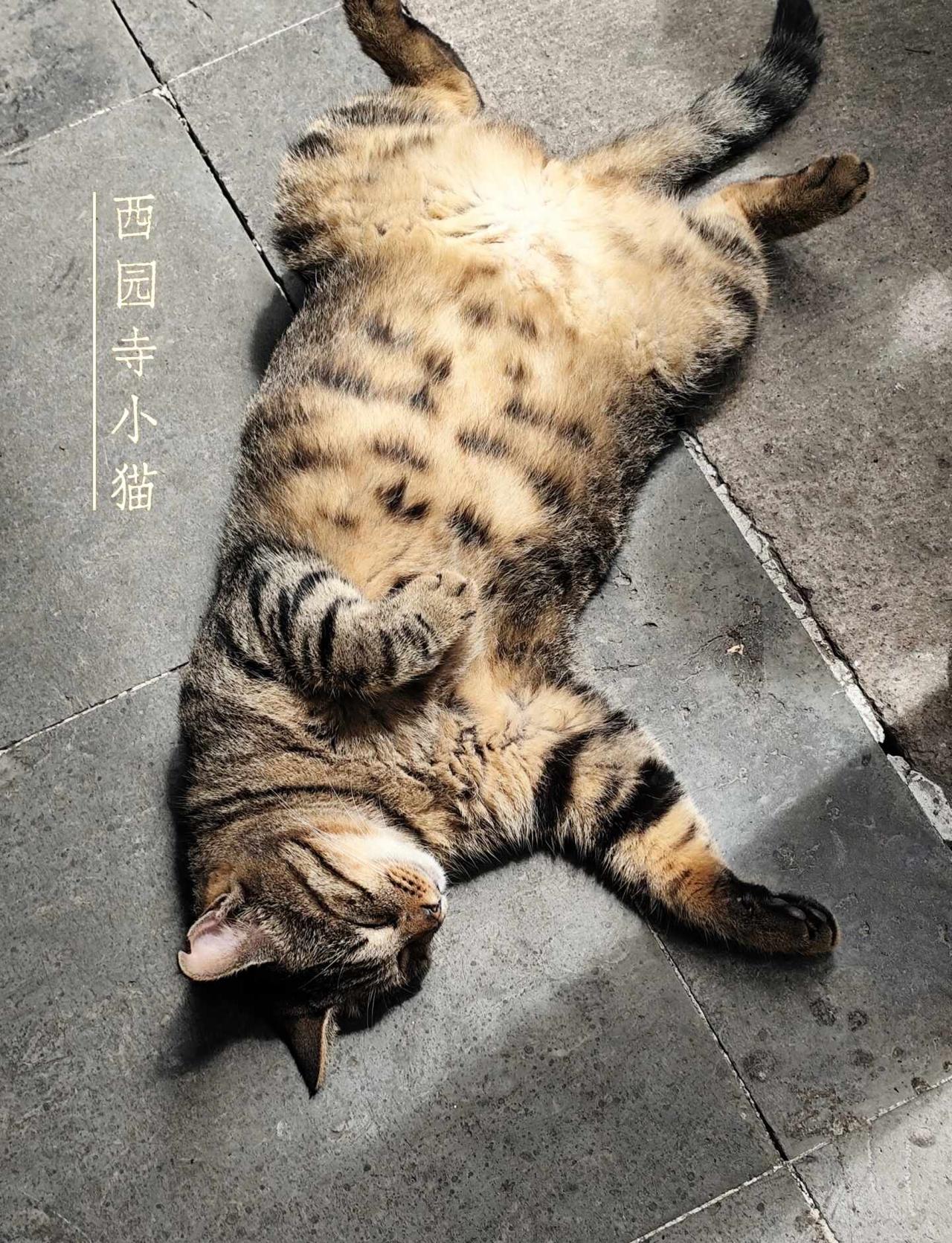 找不到合适工作的时候，允许自己停下来
在出租屋投递简历、不断面试的日子，我反复陷