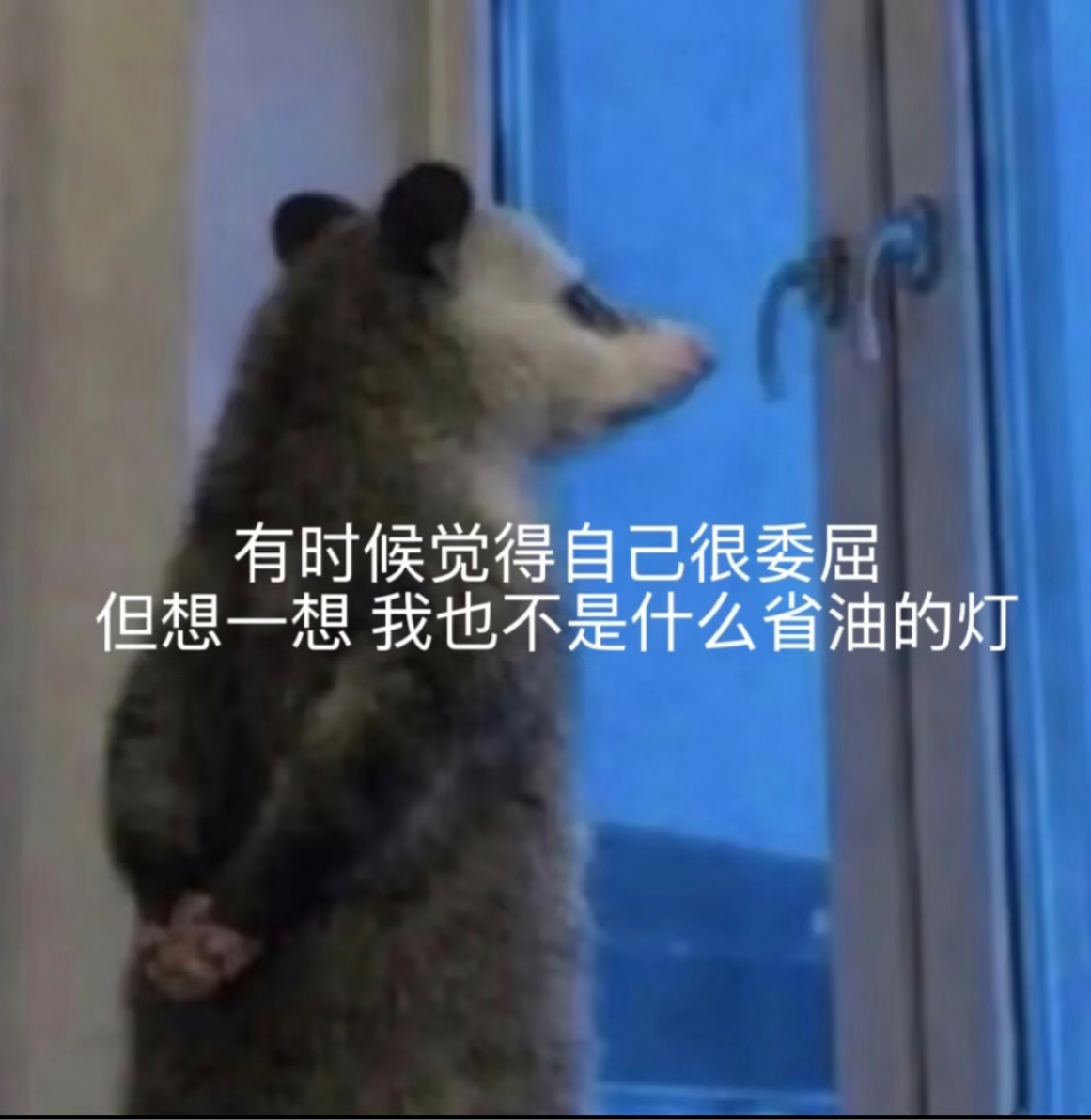 利雅得胜利0比1大阪钢巴去年亚冠面对横滨水手亮出没有台湾的中国地图迷之TIFO，