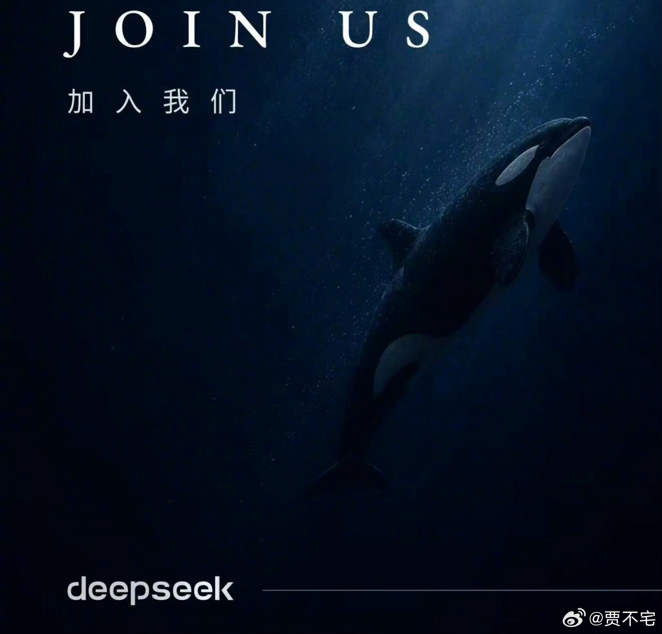 DeepSeek为何大规模招人扩招团队可以加速技术研发突破。 