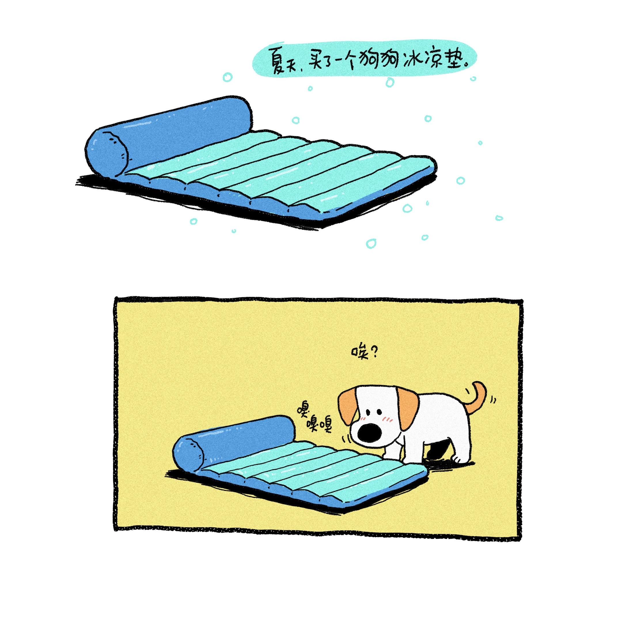 狗狗的冰凉垫。从未睡过