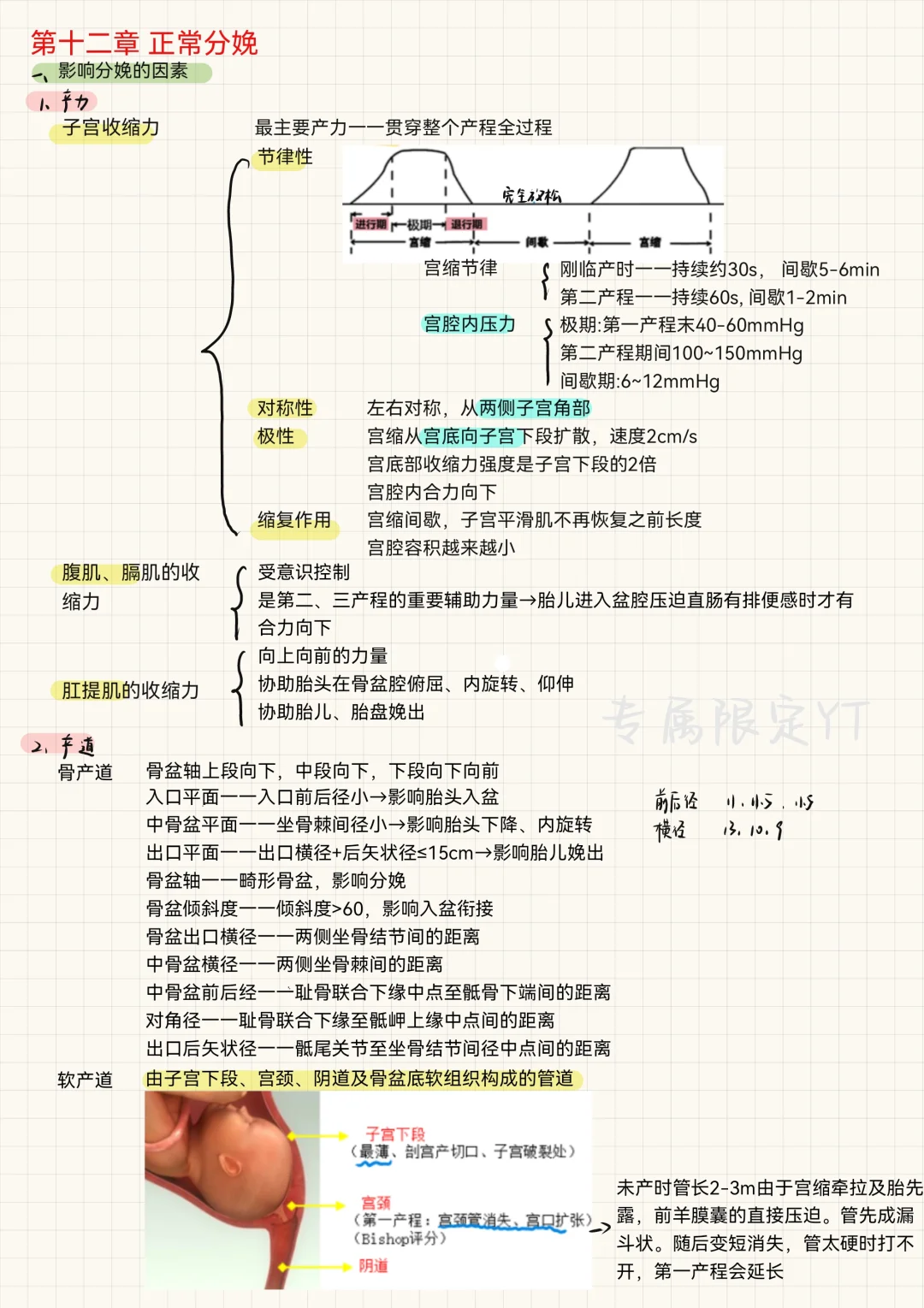 妇产科(10)-正常分娩