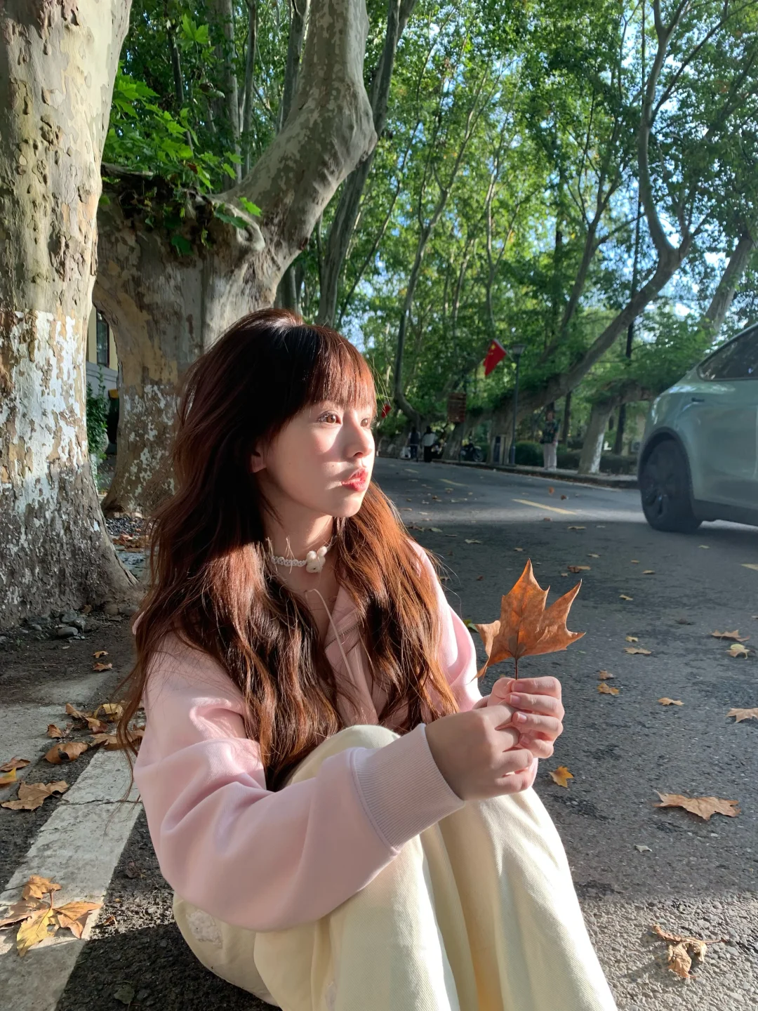 捡一片秋 ·͜·˖ 🍁
