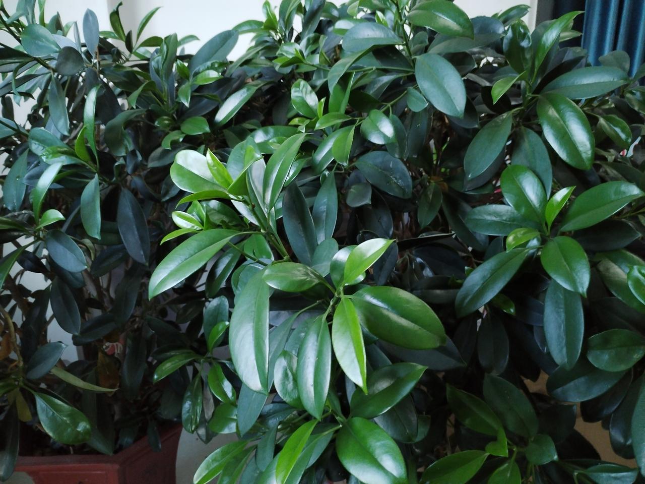 高中化学难度系数也不小，可以说仅次于物理，数学。一看高三联考就可以知道，化学及格