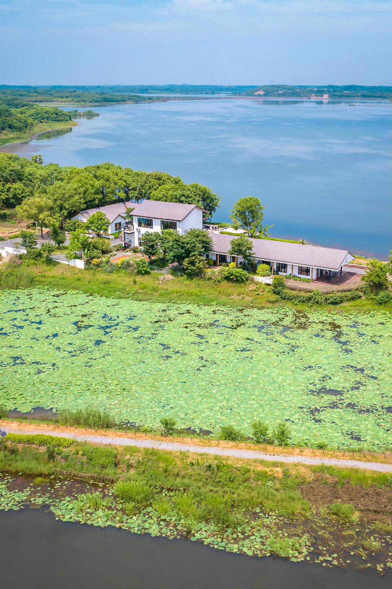 周末五一轻度假
不用去远方，武汉江夏斧头湖畔
三面临湖的有风小院
碧水蓝天绿树，