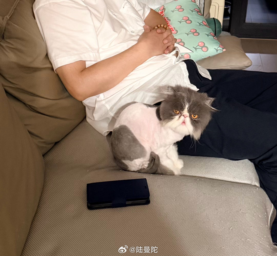 话说他是真不怕生啊，马上就适应新环境了，想当年多米当了床下居民至少一个月才出来见