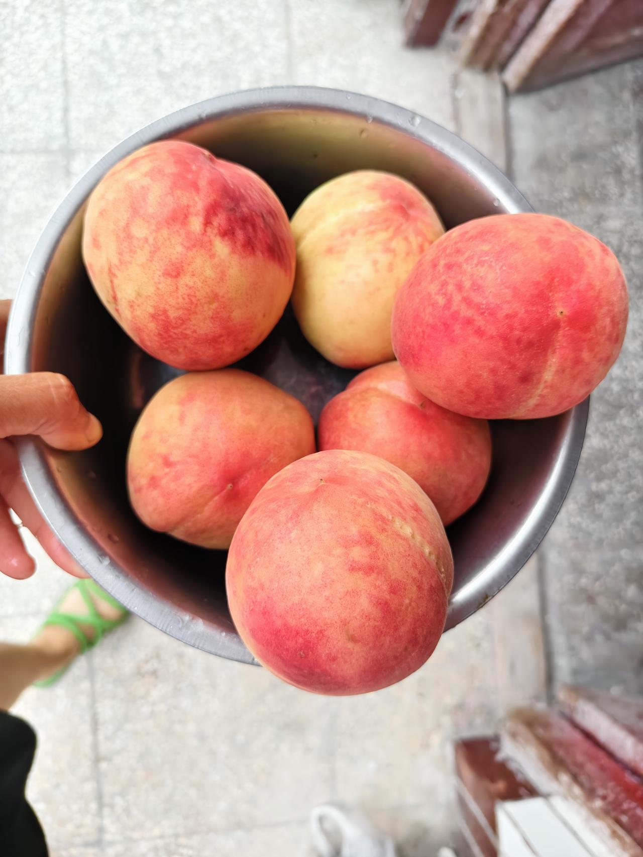 瞧一瞧，运城盐湖的大九宝桃🍑成熟了，早上晨跑回来，我买了6个花了4元。这桃口味