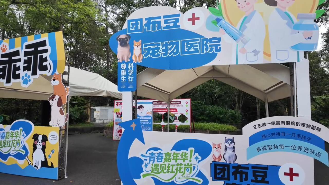 当遵义老城遇上潮流小豆腐，会碰撞出什么火花？第三届小豆腐嘉年华来袭，青瓦白墙的街