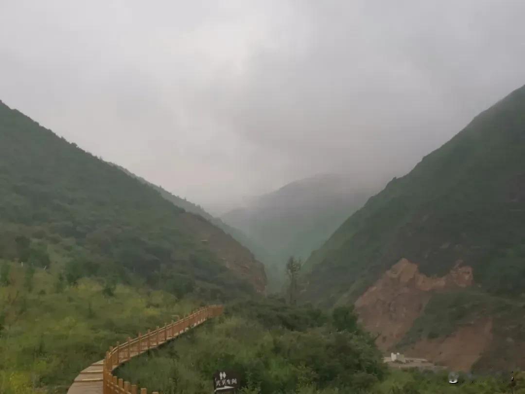 烟雨桦林山

木门月

天不作美，阴沉沉的，但几个人已说定，还是按计划前行。在街