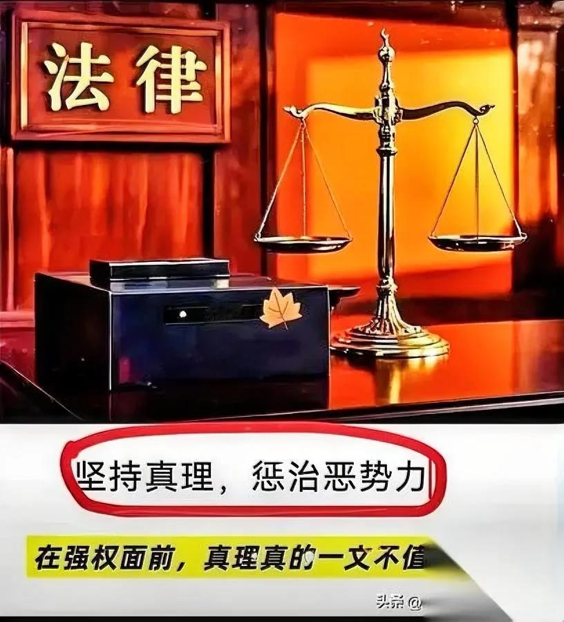 怪事！消失的名单突然复活？

张记者带着录音闯现场，对着三问“资金流向哪？谁盖章