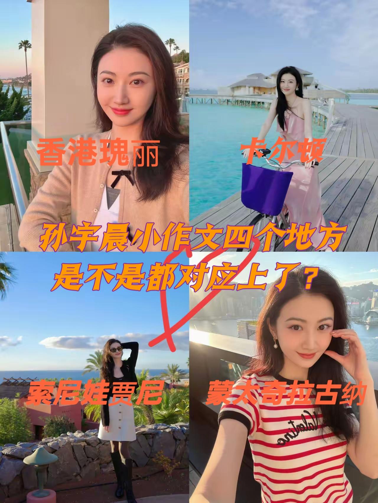 香港瑰丽，特内里费丽思卡尔顿，马尔代夫索尼娃贾尼，加州蒙太奇拉古纳。孙宇晨小作文