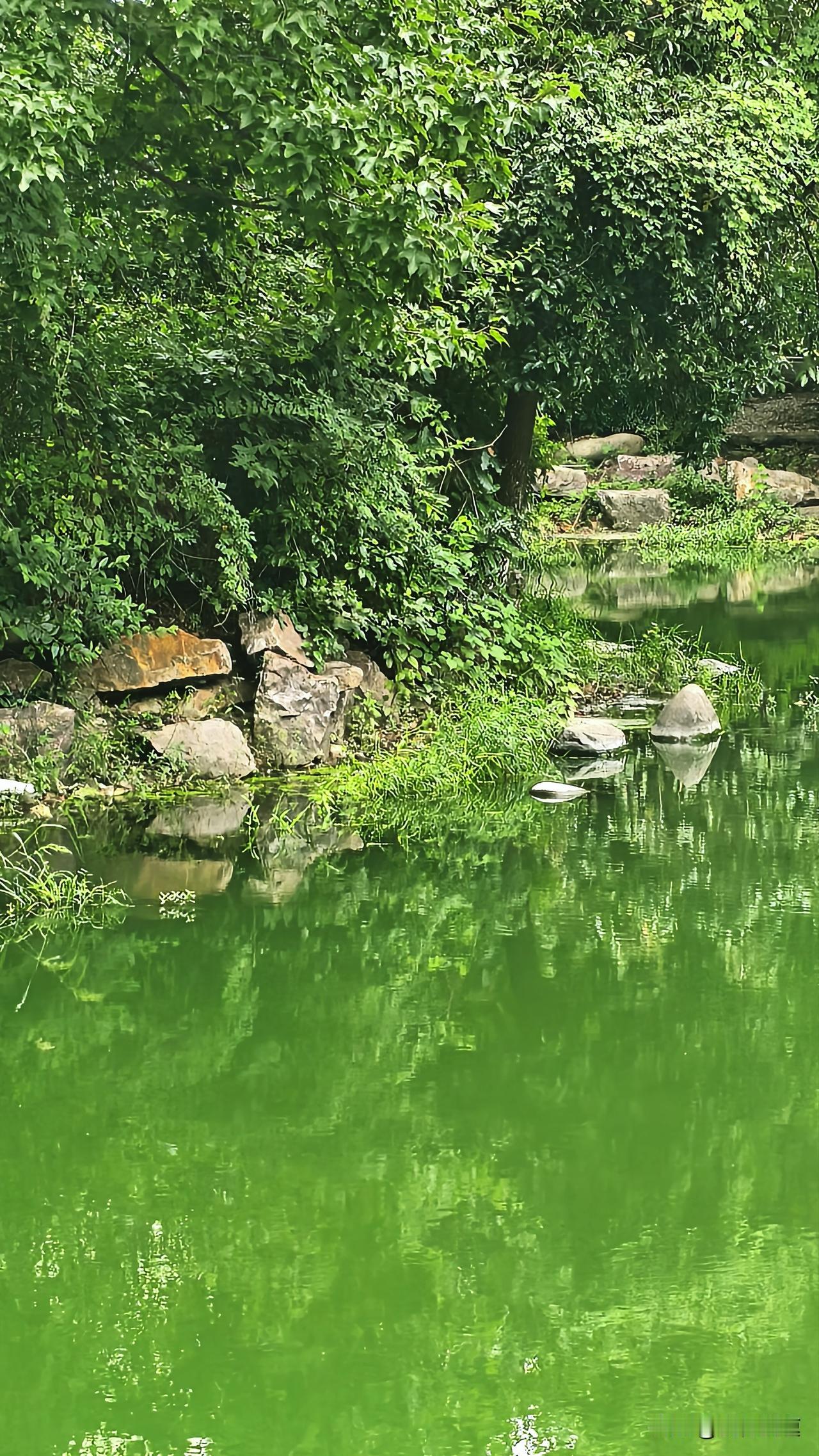 南京这两天的天气真的有点分裂感，白天最高30度，晚上最低也有23度，家里的电风扇