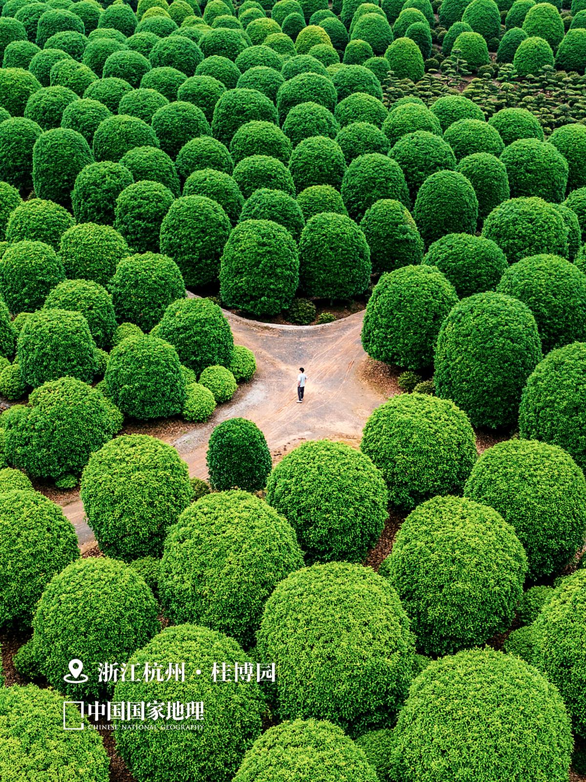 GoGoGo出发咯！4月不得不去的宝藏旅行地！  在中医眼中，“不时不...