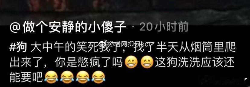 每次看电视剧都要笑 ​​​