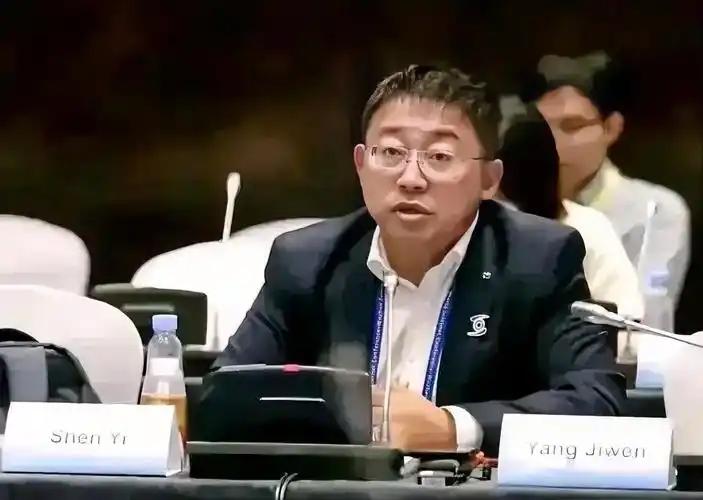 沈逸说的非常好，中国的一些互联网公司，走着走着就变成了美国公司。现在英伟达点名1
