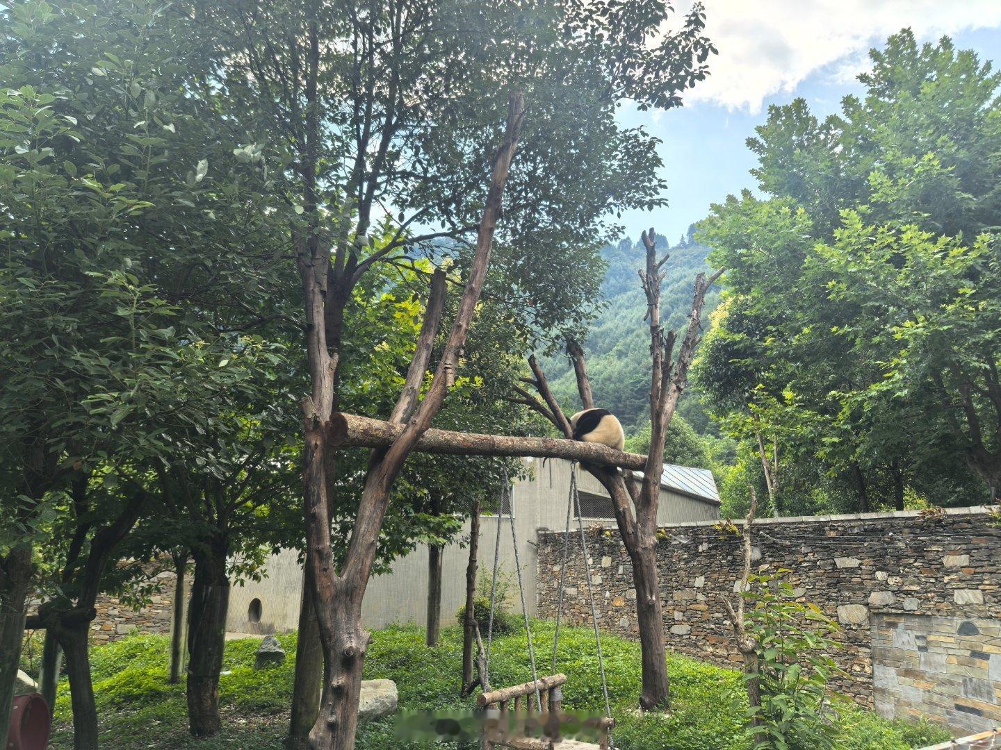 我福宝 