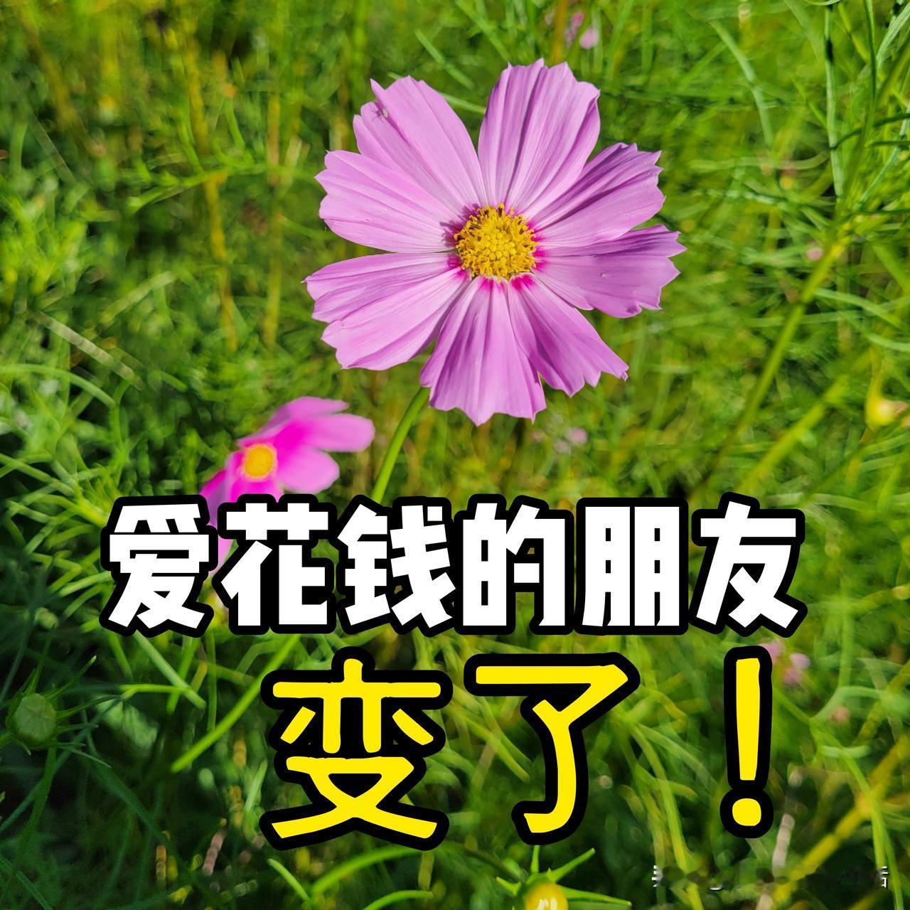 好朋友前段时间想带孩子去海南旅游，让我推荐一下行程，我给她写了攻略建议带孩子去体