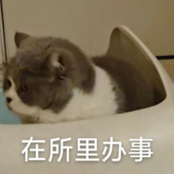太困了，所以偷摸睡了一觉，定了个凌晨12点的闹钟喊自己起来工作。结果比闹钟提前1