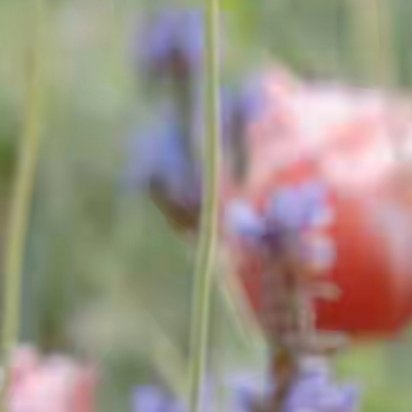 走在浅冬的和煦里，厚重与轻盈同步，丰盈与简约同在，在冬的宁静致远里，心也会变得格