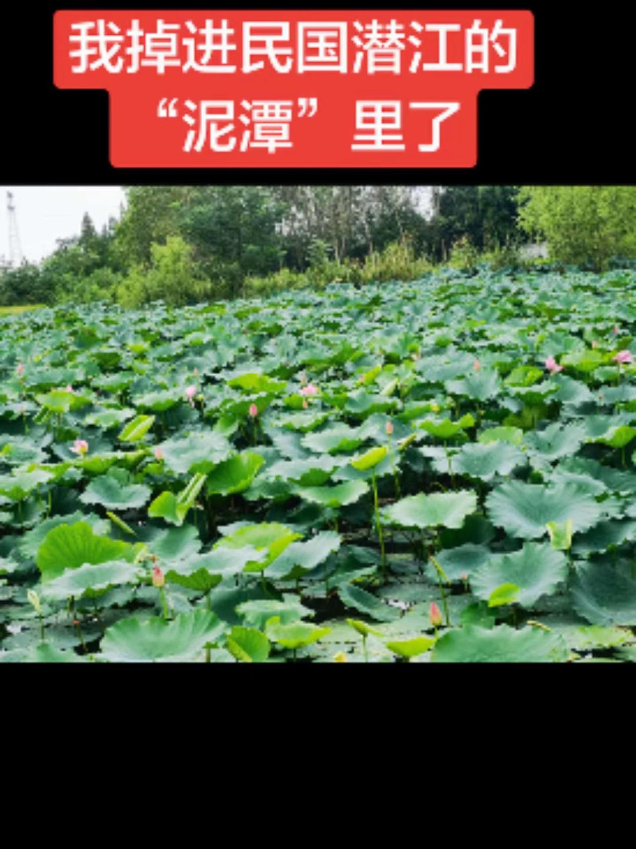 穿越到民国时代的潜江.你是直路河人么？你是浩口人么？你是熊口人么？……这段日子，
