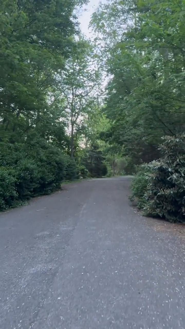 散步，路过，人间像阵图。吹过多少春秋冬夏，看过多少繁华，也历经多少挣扎。心中有梦