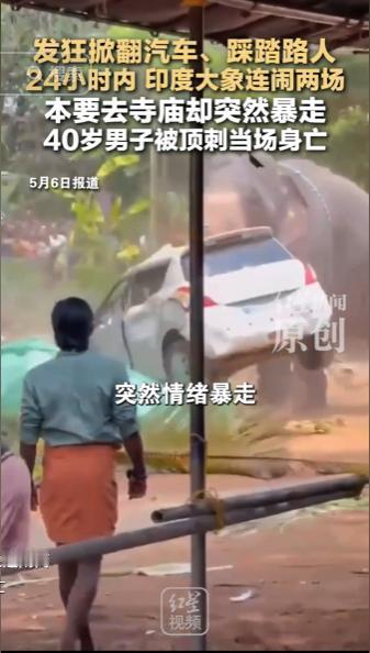 场面太过惊险骇人！印度短短 24 小时之内接连发生两起大象失控闹事事件，原本准备