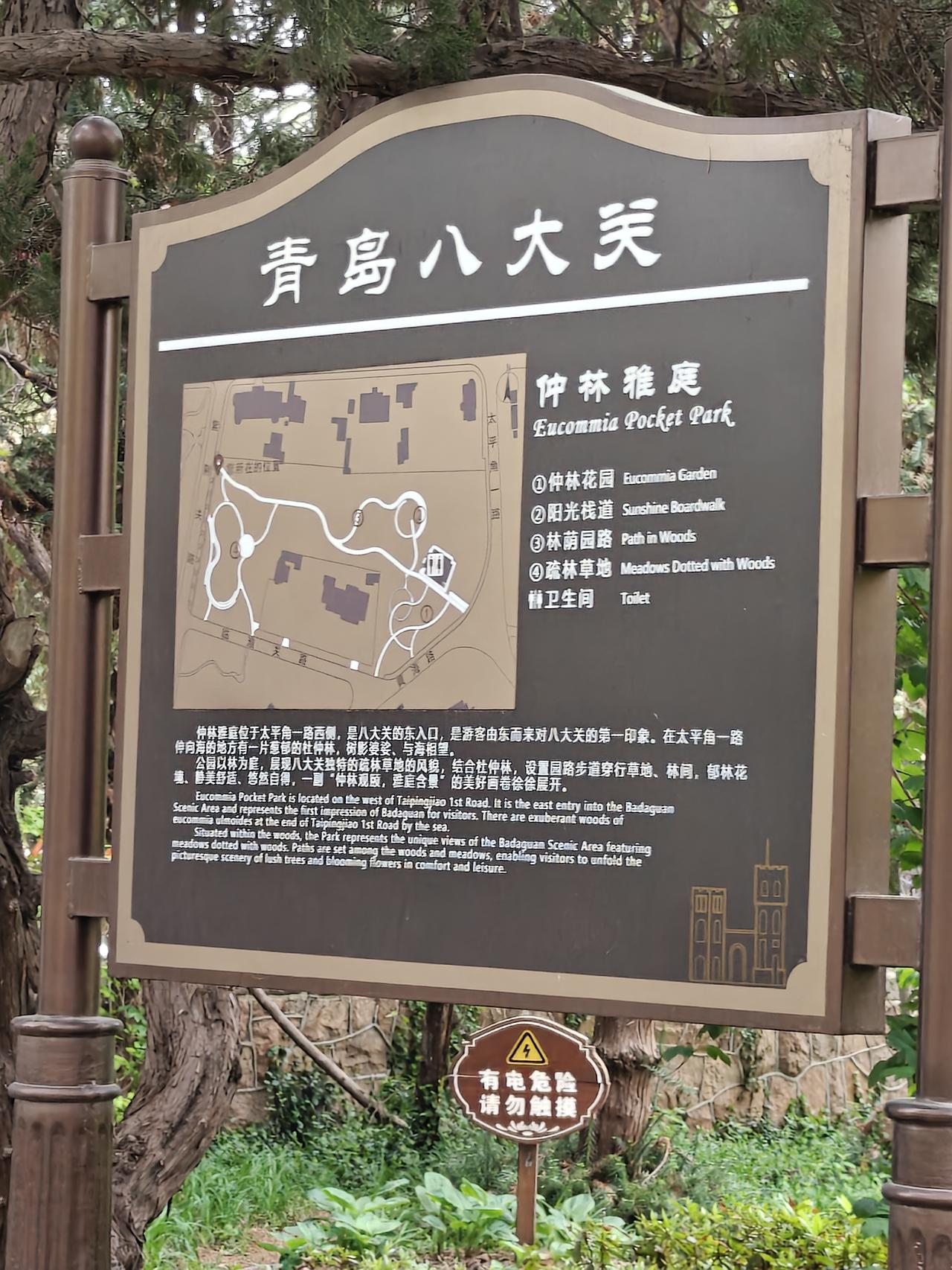 记录我的2026青岛八大关，一个集建筑、人文、绿化、大海于一体的好地方。