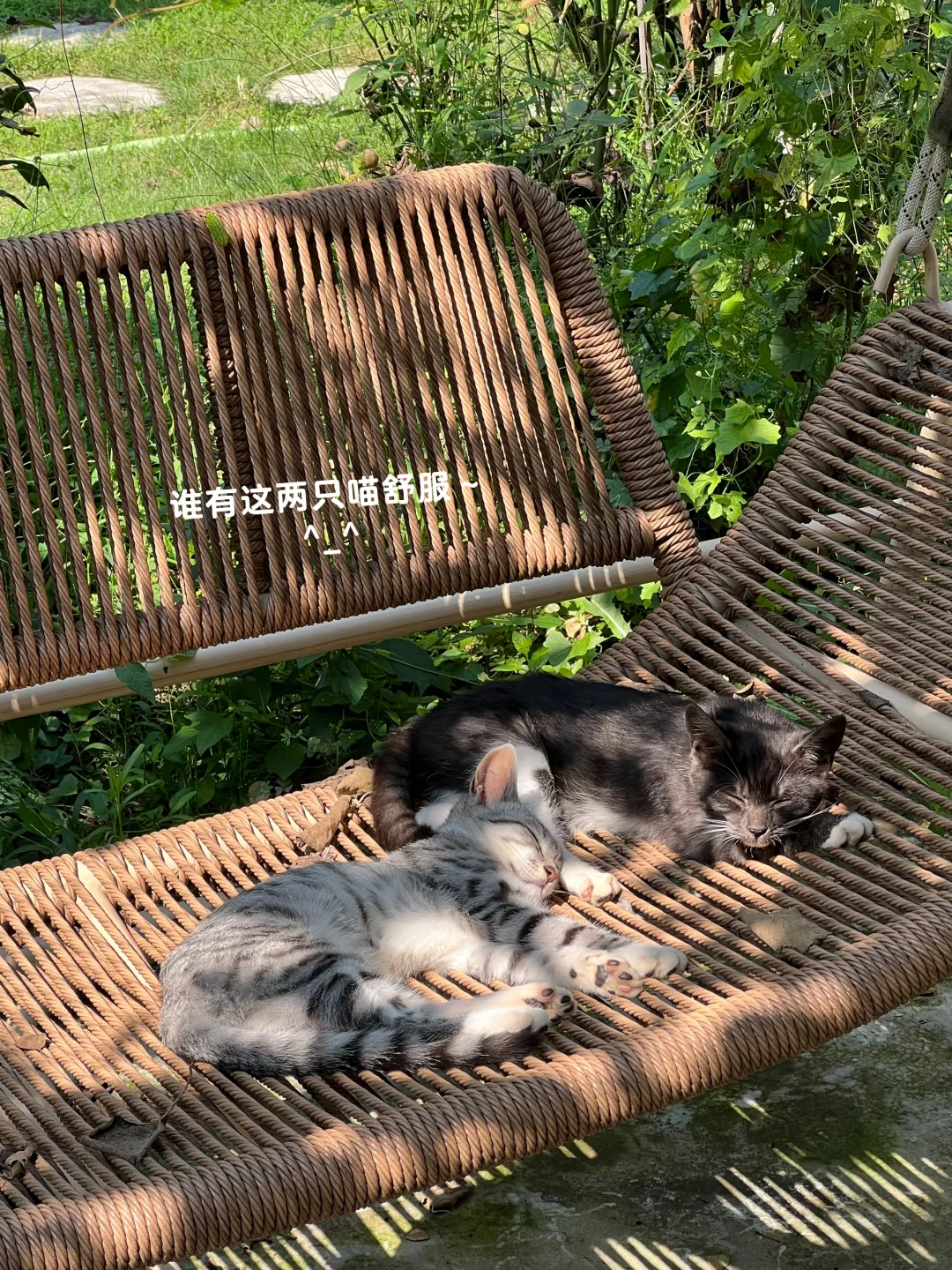 回村生活｜活在当下 我好幸福呀❤️