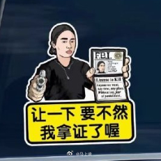 亮证姐车贴，你值得拥有~网友玩梗就是快啊[震惊] ​​​