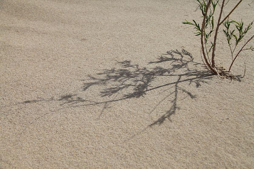 中东局势再次升级，特朗普打算派第二个航母打击群去中东了！看来特朗普也感觉到有点力