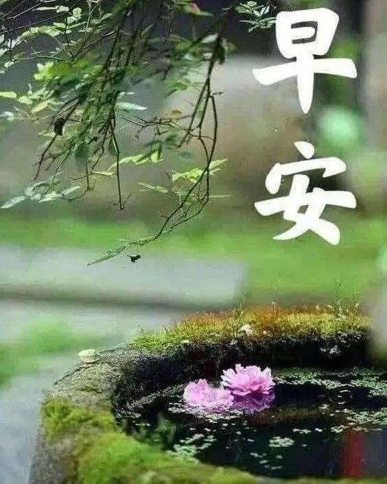 真正的强大不是从不跌倒，而是跌倒后还能笑着爬起来！早安 ☀️ ​​​
