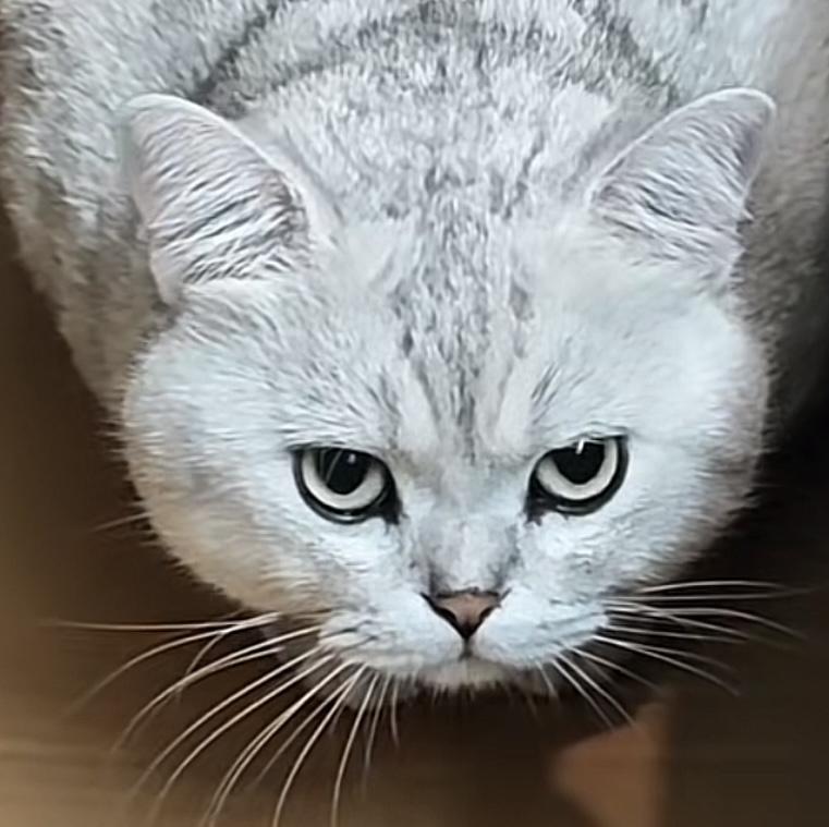 炒股的本质其实就是耐心等待下手的关键点。
无论牛市，还是熊市，上涨多了之后就是回