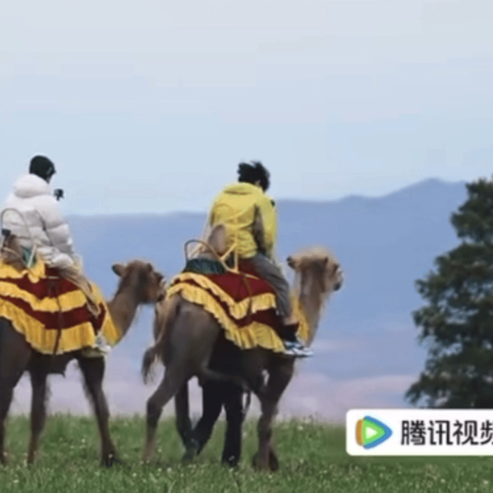 这小东西到底是咋发明出来的 ​​​