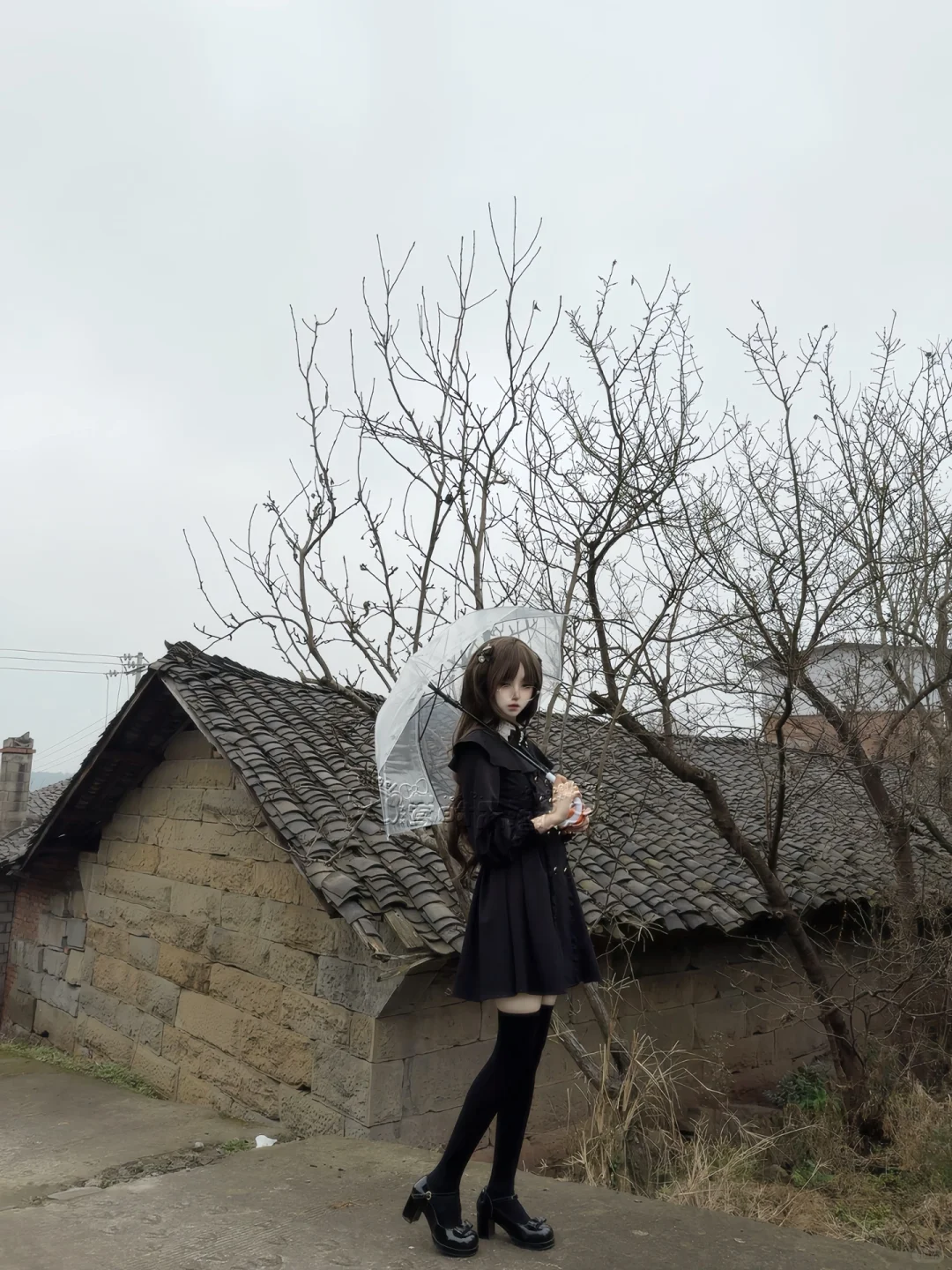 枯藤老树