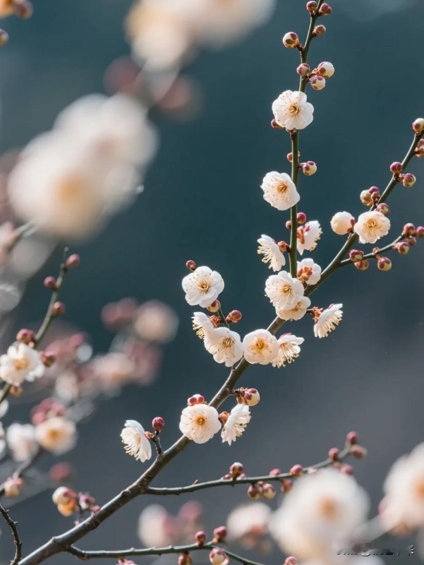 上联：半帘风雨轻敲曲
下联：？
上联：半帘风雨轻敲曲
下联：数点梅花暗弄香