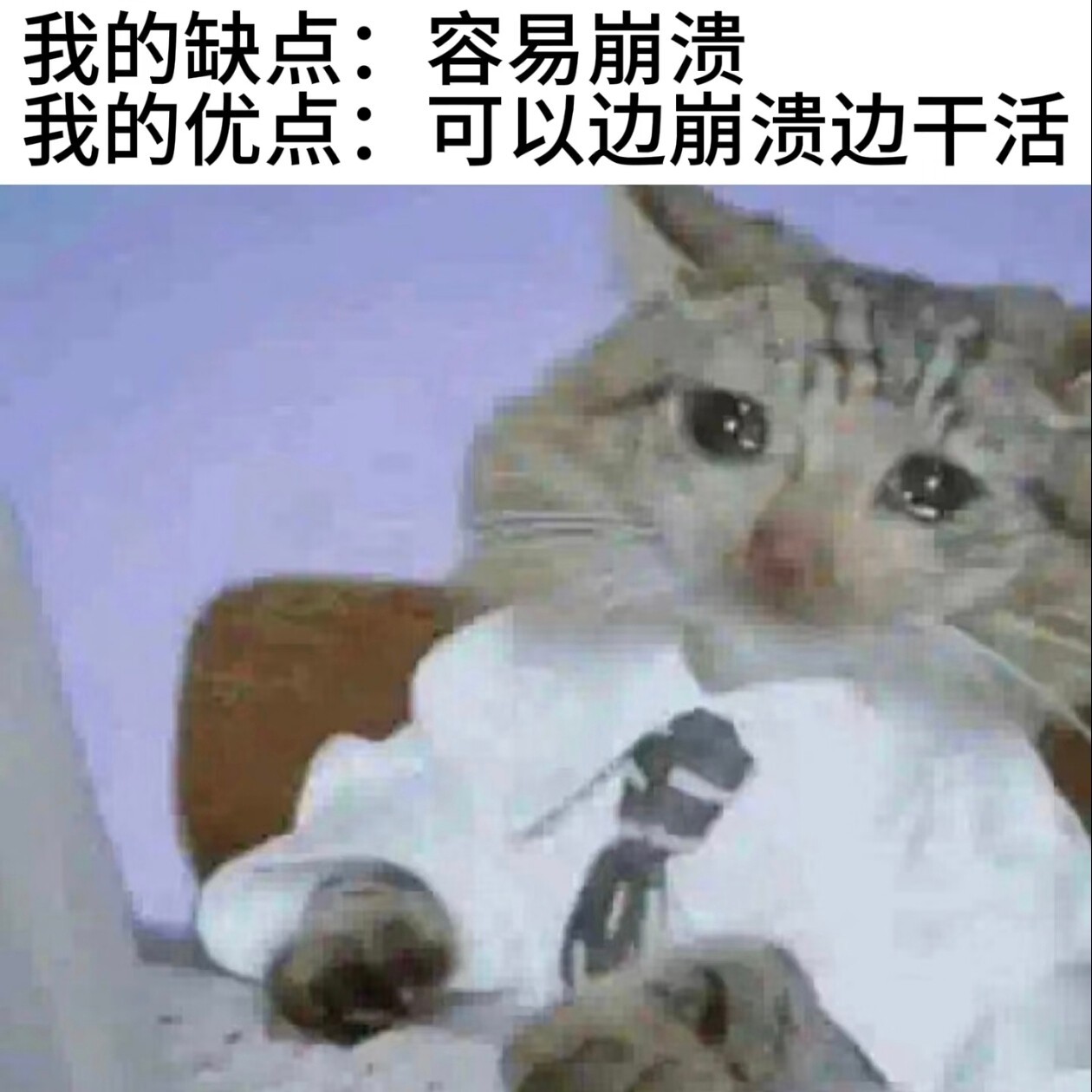 生活给我开的玩笑我一个也没笑 