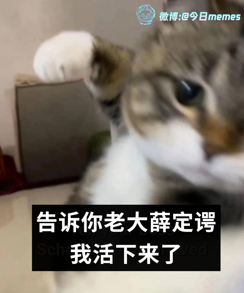 我莱纳（9gag）今日meme[超话]今日memes ​​​