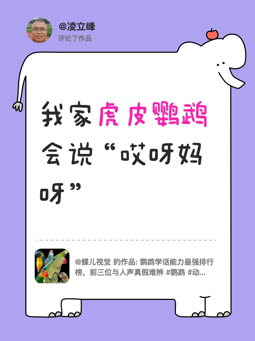 我评论了@蝶儿视觉 的作品：
我家虎皮鹦鹉会说“哎呀妈呀”