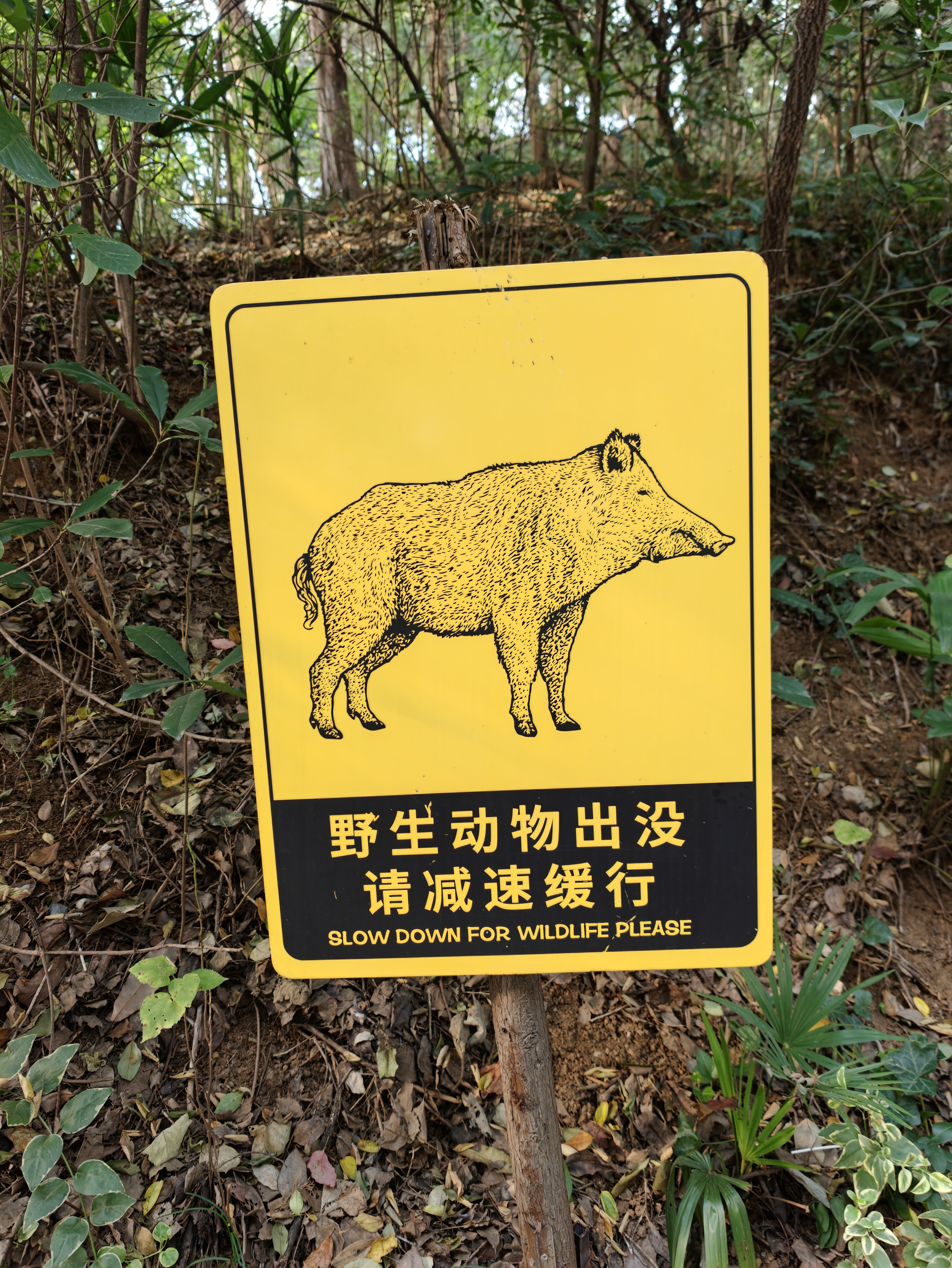 南京特产​​​