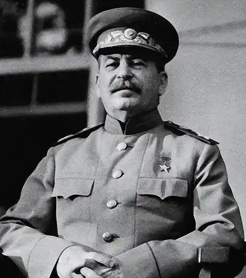 斯大林为啥会开启大肃反？很多人将其归因于斯大林“狂人症”，其实大肃反是长期政治熵