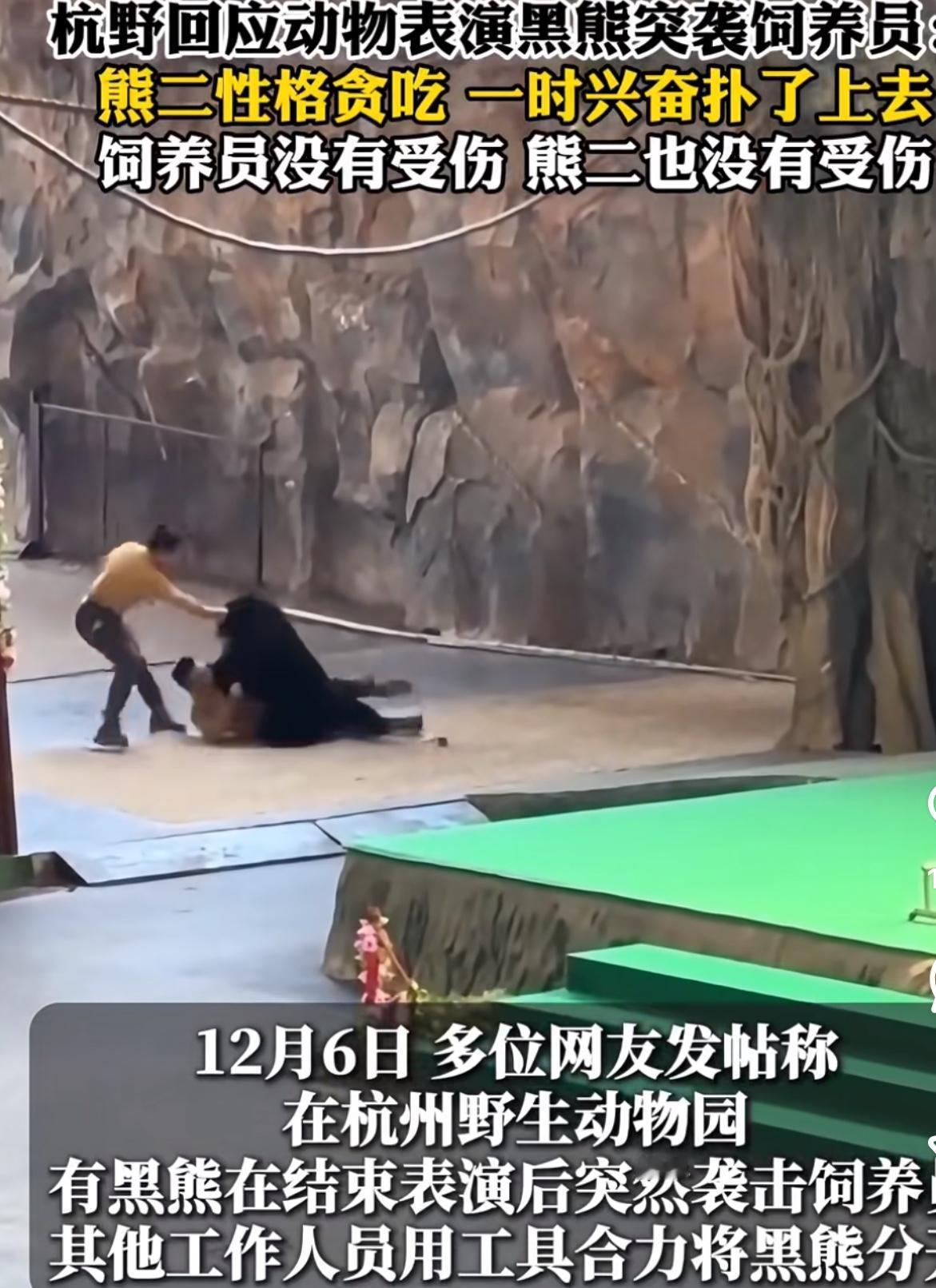 杭州黑熊表演袭击饲养员事件最新后续来了！
果然，网络的力量是巨大的。
黑熊袭击饲