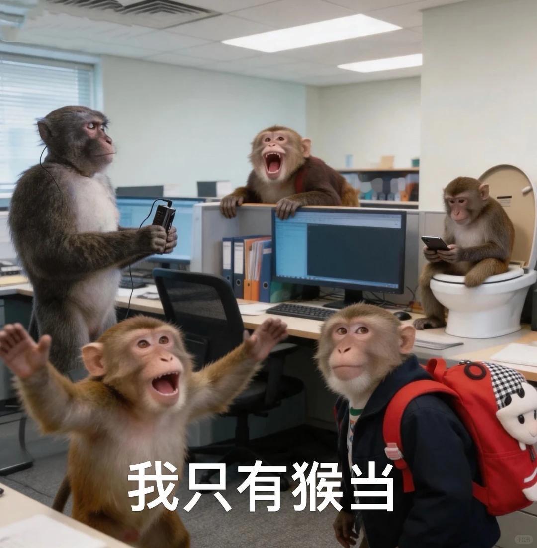 最尊重猴的剧组出现了 我宣布年会2是全世界正数第一尊重猴子的剧组！谁懂我在电影片