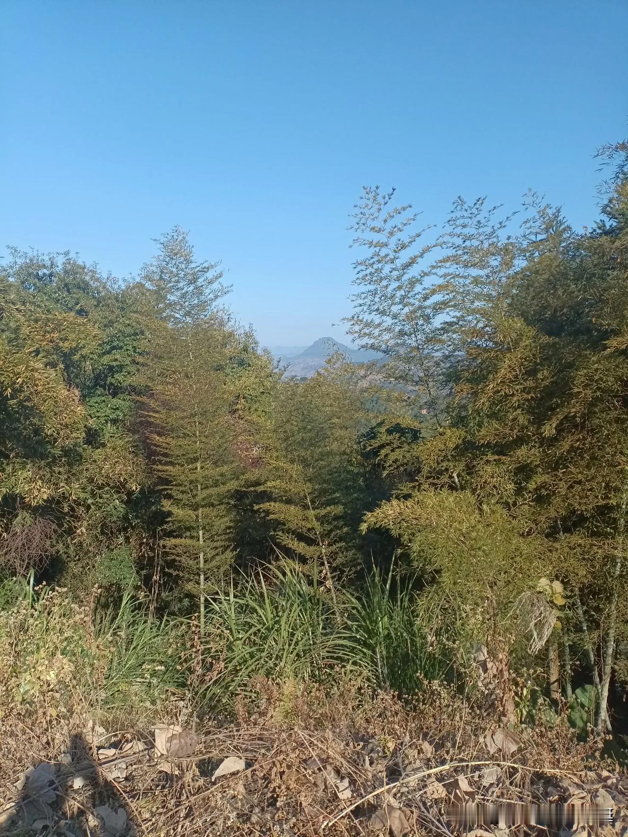 暮色里推开老宅院门时，铜锁已锈成苔绿色。钥匙在锁孔里滞涩地转动，发出二十年没上油